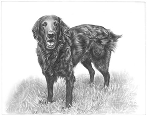 Hand Drawn Pencil Portraits from Photos | Pencil Portrait Drawing | Pencil Sketch Artists