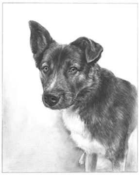 Hand Drawn Pencil Portraits from Photos | Pencil Portrait Drawing | Pencil Sketch Artists