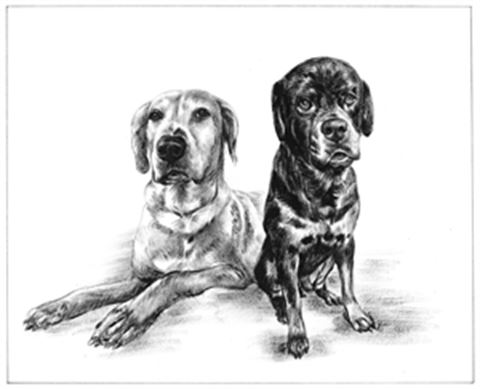 Hand Painted Ink Rendering Portraits from Photos