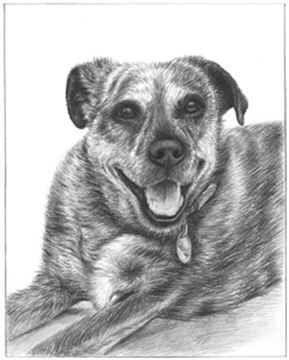 Hand Drawn Pencil Portraits from Photos | Pencil Portrait Drawing | Pencil Sketch Artists