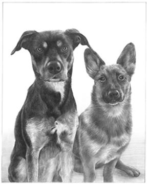 Hand Drawn Pencil Portraits from Photos | Pencil Portrait Drawing | Pencil Sketch Artists