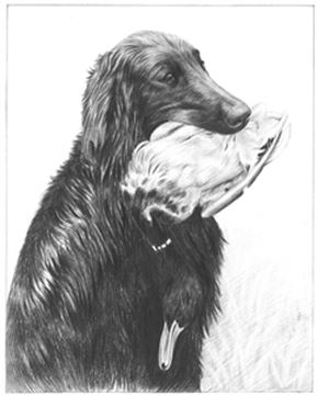 Hand Drawn Pencil Portraits from Photos | Pencil Portrait Drawing | Pencil Sketch Artists