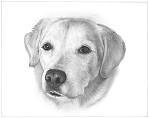 Hand Drawn Pencil Portraits from Photos | Pencil Portrait Drawing | Pencil Sketch Artists