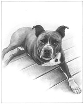 Hand Drawn Pencil Portraits from Photos | Pencil Portrait Drawing | Pencil Sketch Artists