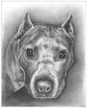 Hand Drawn Pencil Portraits from Photos | Pencil Portrait Drawing | Pencil Sketch Artists