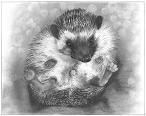 Hand Drawn Pencil Portraits from Photos | Pencil Portrait Drawing | Pencil Sketch Artists