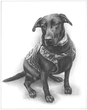 Hand Drawn Pencil Portraits from Photos | Pencil Portrait Drawing | Pencil Sketch Artists