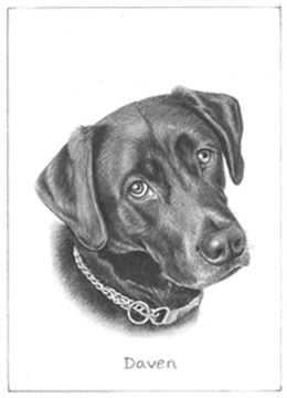 Hand Drawn Pencil Portraits from Photos | Pencil Portrait Drawing | Pencil Sketch Artists