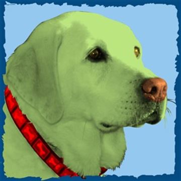 1 Panel Pop Art Portraits from Photos