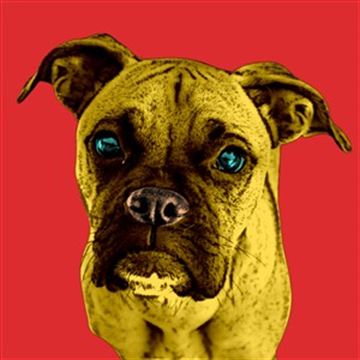 1 Panel Pop Art Portraits from Photos