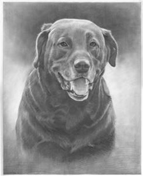 Hand Drawn Pencil Portraits from Photos | Pencil Portrait Drawing | Pencil Sketch Artists
