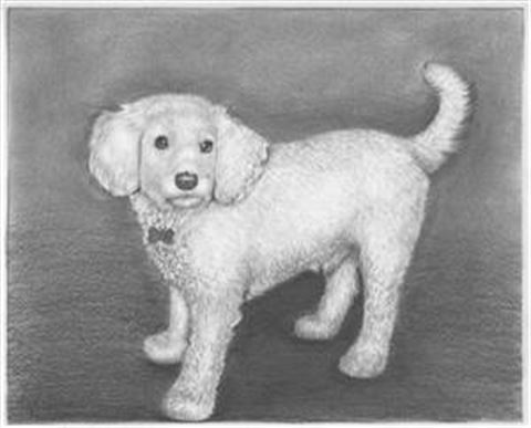 Hand Drawn Pencil Portraits from Photos | Pencil Portrait Drawing | Pencil Sketch Artists