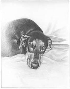 Hand Drawn Pencil Portraits from Photos | Pencil Portrait Drawing | Pencil Sketch Artists