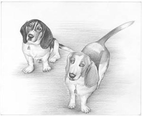 Hand Drawn Pencil Portraits from Photos | Pencil Portrait Drawing | Pencil Sketch Artists