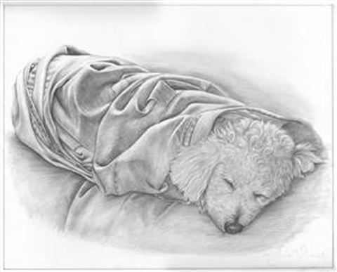 Hand Drawn Pencil Portraits from Photos | Pencil Portrait Drawing | Pencil Sketch Artists