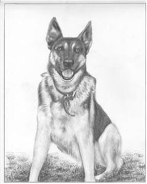 Hand Drawn Pencil Portraits from Photos | Pencil Portrait Drawing | Pencil Sketch Artists