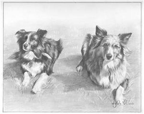 Hand Drawn Pencil Portraits from Photos | Pencil Portrait Drawing | Pencil Sketch Artists