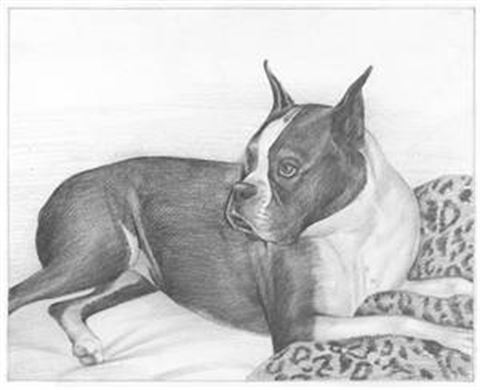 Hand Drawn Pencil Portraits from Photos | Pencil Portrait Drawing | Pencil Sketch Artists