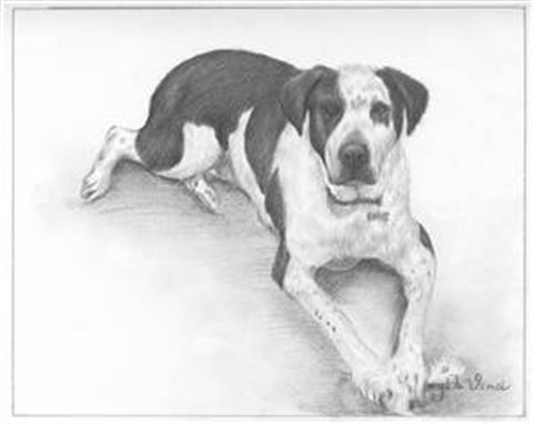 Hand Drawn Pencil Portraits from Photos | Pencil Portrait Drawing | Pencil Sketch Artists