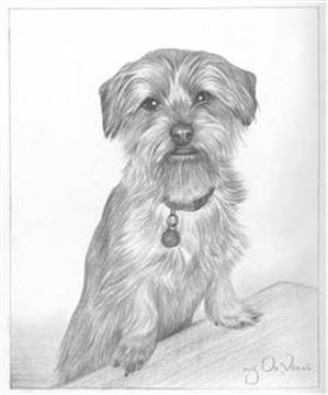 Hand Drawn Pencil Portraits from Photos | Pencil Portrait Drawing | Pencil Sketch Artists