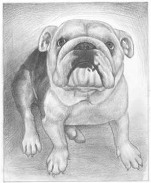 Hand Drawn Pencil Portraits from Photos | Pencil Portrait Drawing | Pencil Sketch Artists