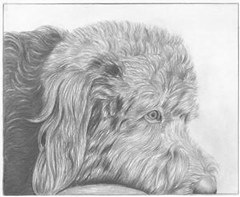 Hand Drawn Pencil Portraits from Photos | Pencil Portrait Drawing | Pencil Sketch Artists