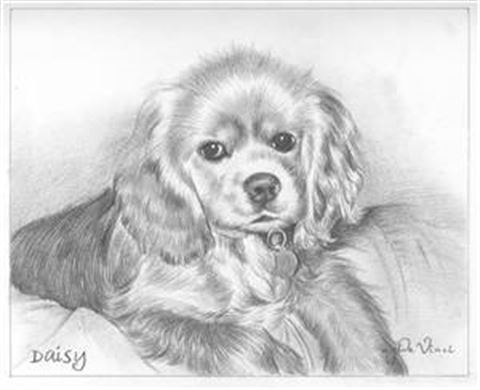 Hand Drawn Pencil Portraits from Photos | Pencil Portrait Drawing | Pencil Sketch Artists
