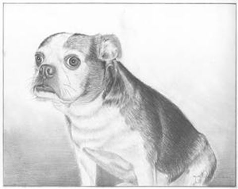 Hand Drawn Pencil Portraits from Photos | Pencil Portrait Drawing | Pencil Sketch Artists