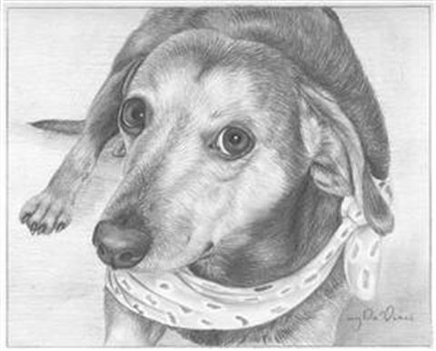 Hand Drawn Pencil Portraits from Photos | Pencil Portrait Drawing | Pencil Sketch Artists