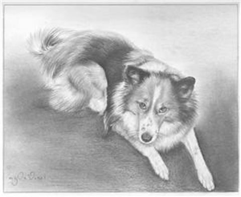 Hand Drawn Pencil Portraits from Photos | Pencil Portrait Drawing | Pencil Sketch Artists