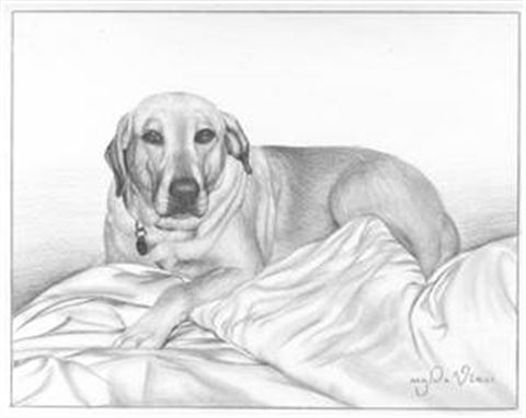 Hand Drawn Pencil Portraits from Photos | Pencil Portrait Drawing | Pencil Sketch Artists