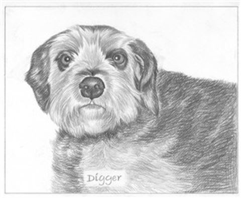 Hand Drawn Pencil Portraits from Photos | Pencil Portrait Drawing | Pencil Sketch Artists