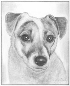 Hand Drawn Pencil Portraits from Photos | Pencil Portrait Drawing | Pencil Sketch Artists