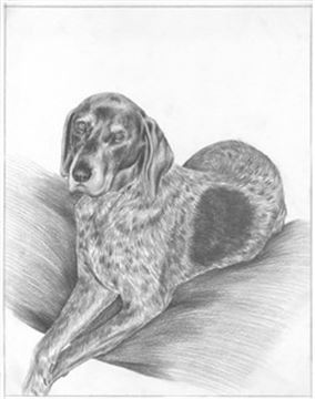 Hand Drawn Pencil Portraits from Photos | Pencil Portrait Drawing | Pencil Sketch Artists