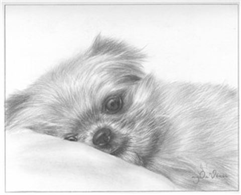 Hand Drawn Pencil Portraits from Photos | Pencil Portrait Drawing | Pencil Sketch Artists