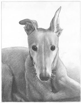 Hand Drawn Pencil Portraits from Photos | Pencil Portrait Drawing | Pencil Sketch Artists