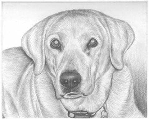 Hand Drawn Pencil Portraits from Photos | Pencil Portrait Drawing | Pencil Sketch Artists