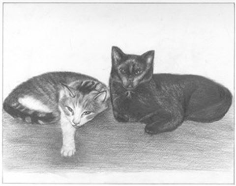 Hand Drawn Pencil Portraits from Photos | Pencil Portrait Drawing | Pencil Sketch Artists