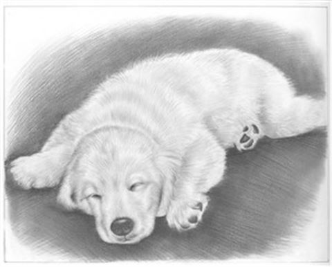 Hand Drawn Pencil Portraits from Photos | Pencil Portrait Drawing | Pencil Sketch Artists