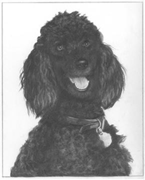 Hand Drawn Pencil Portraits from Photos | Pencil Portrait Drawing | Pencil Sketch Artists