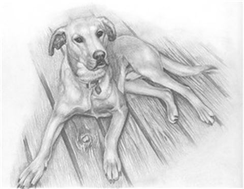 Hand Drawn Pencil Portraits from Photos | Pencil Portrait Drawing | Pencil Sketch Artists