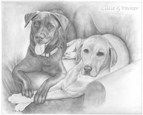 Hand Drawn Pencil Portraits from Photos | Pencil Portrait Drawing | Pencil Sketch Artists