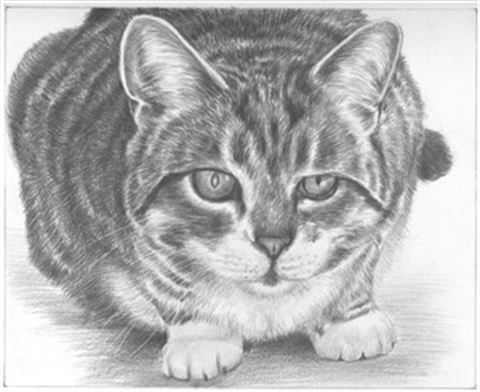 Hand Drawn Pencil Portraits from Photos | Pencil Portrait Drawing | Pencil Sketch Artists