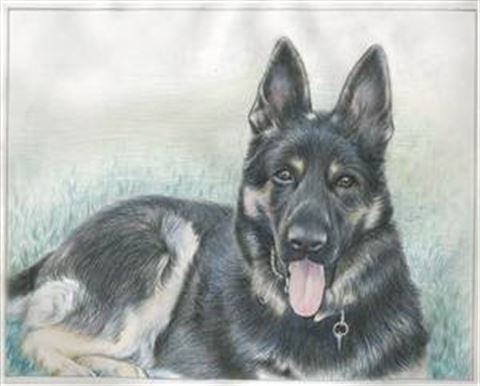 Hand Drawn Colored Pencil Portraits from Photos | Colored Pencil Drawings from Photos