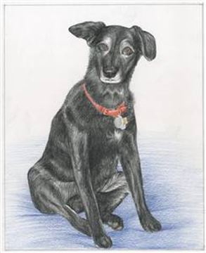 Hand Drawn Colored Pencil Portraits from Photos | Colored Pencil Drawings from Photos