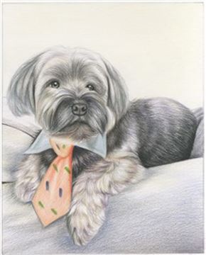 Hand Drawn Colored Pencil Portraits from Photos | Colored Pencil Drawings from Photos