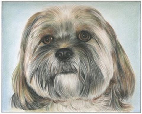 Hand Drawn Colored Pencil Portraits from Photos | Colored Pencil Drawings from Photos