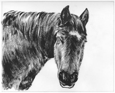 Hand Painted Ink Rendering Portraits from Photos