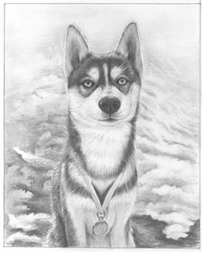 Hand Drawn Pencil Portraits from Photos | Pencil Portrait Drawing | Pencil Sketch Artists