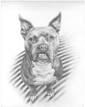 Hand Drawn Pencil Portraits from Photos | Pencil Portrait Drawing | Pencil Sketch Artists